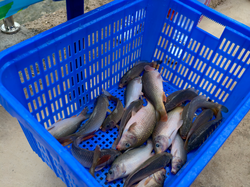 钓鱼比赛吸, 游资源也得