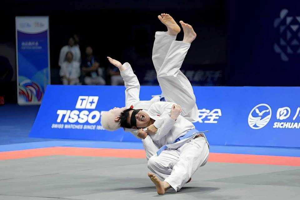 在视力残疾 在视力残疾