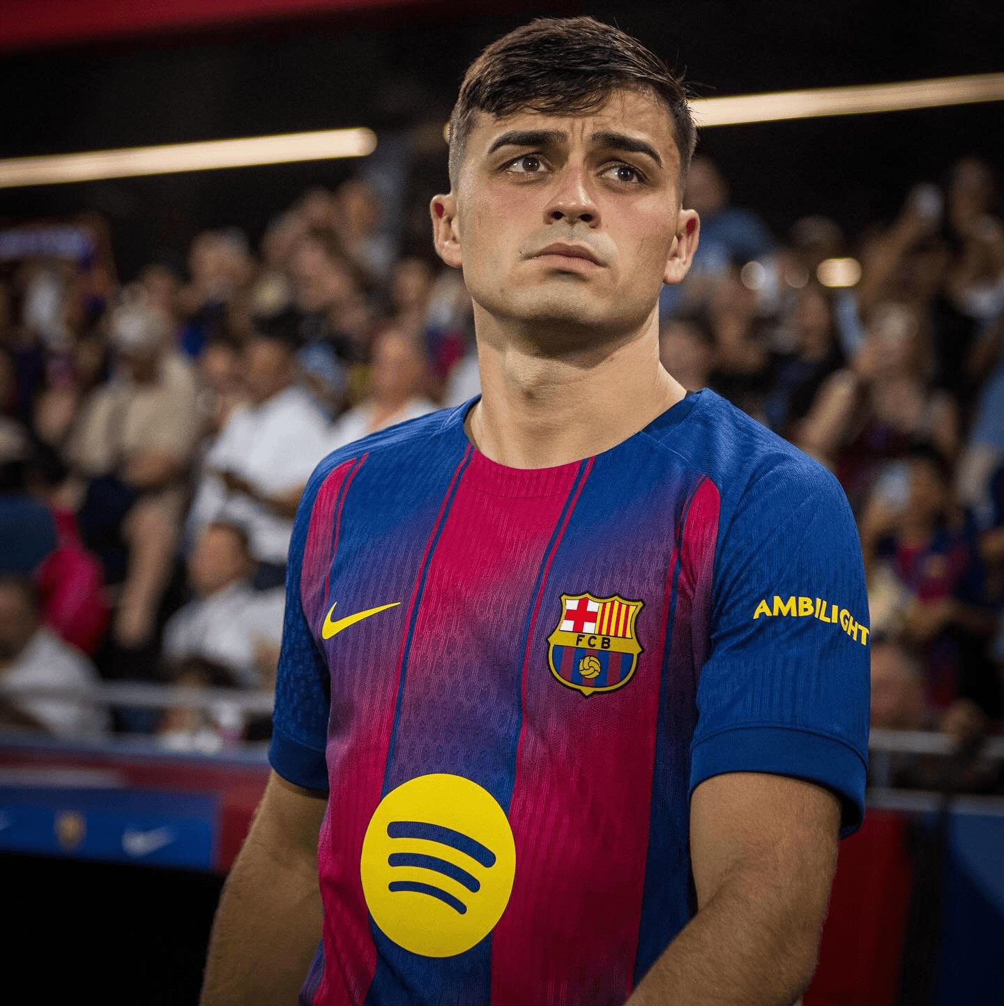 alt, msn, 晒季前备战